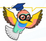 Erasmus+ OLS